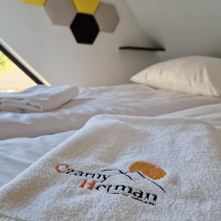Prázdninový dům Czarnyhetman Grzechynia