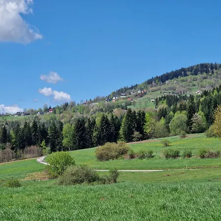 Czarnyhetman Grzechynia