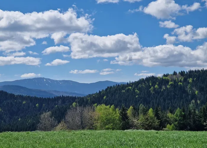 Prázdninový dům Czarnyhetman