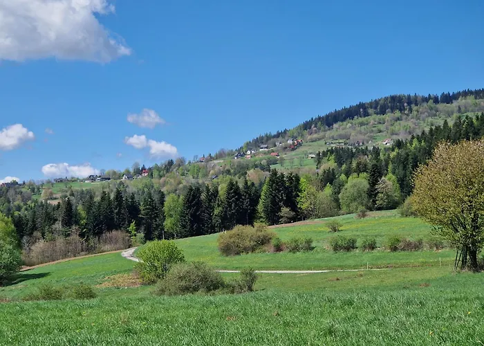 Czarnyhetman Grzechynia